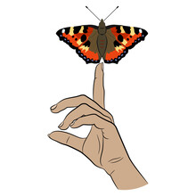 Human Hand Holding Small Tortoiseshell  Butterfly. Creative Environmental Concept. Nature And Freedom. Aglais Urticae.