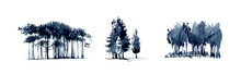 Group Of Trees Silouette Realistic Illustration Isolated On White.Set Of Realistic Trees Illustration Isolated On White