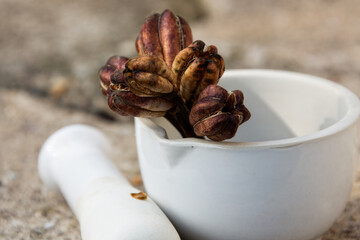 Lily seeds