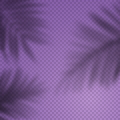 Aufkleber - Vector Background with Transparent Shadow of Tropical Palm Leaves.