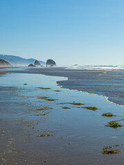 Wall Mural - Vertical Image-Bits of sea grass lead your eye down a beach in Oregon to Sea Stacks in the distance.