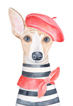 Water Color Portrait Illustration Of Lovely Dog Wearing Red French Beret, Classic Knotted Neck Scarf And Striped French Tee-shirt. Hand Painted Watercolour Sketchy Graphic Drawing On White Background.