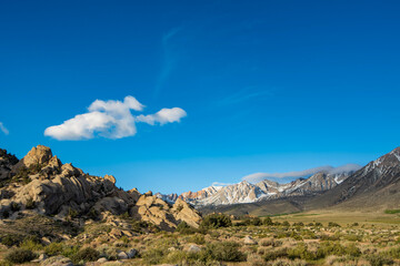 white cloud hangs in blue sky above rocky desert plain mountain meadow with native plants blooming with tiny white wildflowers to distant snowy peaks