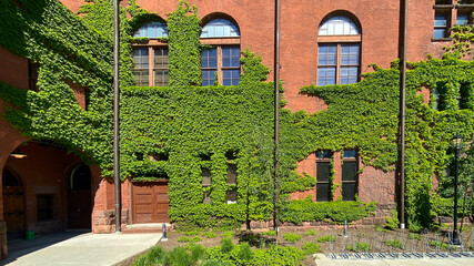 big red brick gym with green ivy 