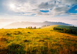 © Leonid Tit - Idyllic sunny day in tranquil mountain landscape. Location place of Carpathian mountains.