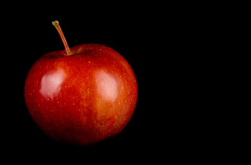 Canvas Print - Red, juicy ripe apple on a black background close-up.