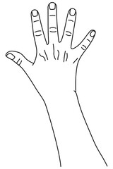 Wall Mural - number five, hand gesture. concept of finger counting in sign language. vector illustration in outli