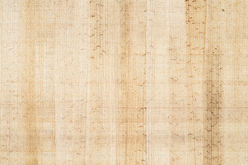 Wall Mural - texture of ancient egyptian papyrus as a background