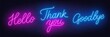 © TanyaFox - Neon text thank you, hello and goodbye. Bright neon signs on the brick wall. Vector illustration