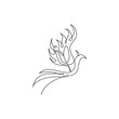 Single continuous line drawing of flame phoenix bird for corporate logo identity. Company icon concept from fauna shape. Modern one line draw vector graphic design illustration