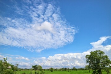 green field and blue sky