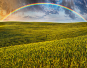  Scenic view of rainbow over green field