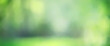 © kichigin19 - green background, panoramic view long blurred gradient green summer abstract