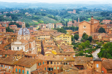 Wall Mural - Ancient city of Siena, Tuscany, Italy. Top view