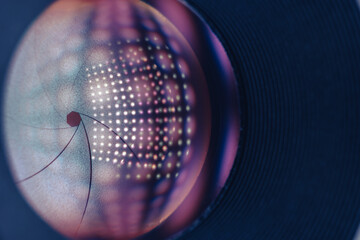 Poster - Close up Beautiful Camera Lens on a dark with pink reflection light background. Macro view.