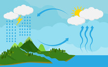 Circulation Cycle And Water Condensation,diagram Showing The Water Cycle In Nature.vector Illustration And Icon