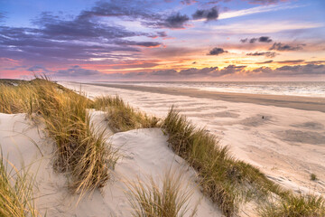 Poster - View from dune top over North Sea