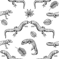 Wall Mural - Seamless pattern of hand drawn sketch style geckos and plants isolated on white background. Vector illustration.