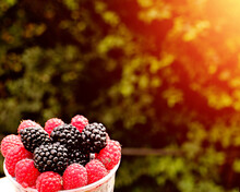 Berries Raspberries, Blackberries And Mangoes In A Plastic Glass On A Background Of Greenery On A Sunny Day, Close-up. Summer. The Concept Of Vegetarianism And Healthy Eating. Copy Space On The Right