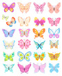 set of cartoon butterflies with light soft colors. vector
