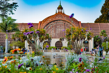 The Lily Pond at Balboa Park, San Diego, California.