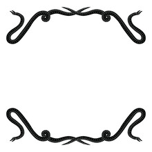 Ethnic Animal Decor, Frame Or Background With Fantastic Snakes. Vintage Celtic Style. Black And White Silhouette.