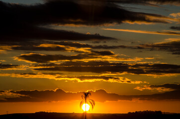 colors of the sunset in my city in Brazil