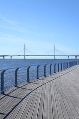 Canvas Print - Cable bridge in Saint Petersburg.