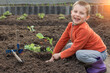 © Anna Pecherskaia - The smiling boy plants the saplings himself. A small rake and shovel are lying nearby. The child looks into the frame. The concept of helping your mother in the cultivation of vegetables.
