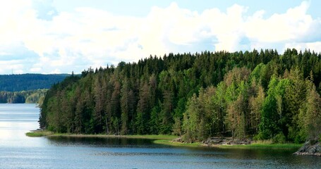 Wall Mural - Swedish Nature. Summer Lake Or River In Beautiful Summer Sunny Day. Shadows Of Clouds Moving Above Pine Trees