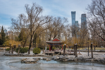 Poster - Lotus Lake in Ritan public park located in Chaoyang District of Beijing city, China