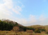 Fototapeta Sawanna - 日本の田舎の風景　1月　真冬の山の木々と夕陽