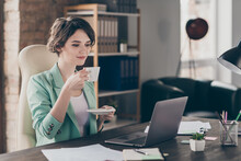 Profile Photo Of Attractive Business Lady Look Notebook Table Watch Webinar Hold Hot Fresh Coffee Cup Mug Good Mood Distance Home Remote Work Sit Chair Modern Interior Office Indoors