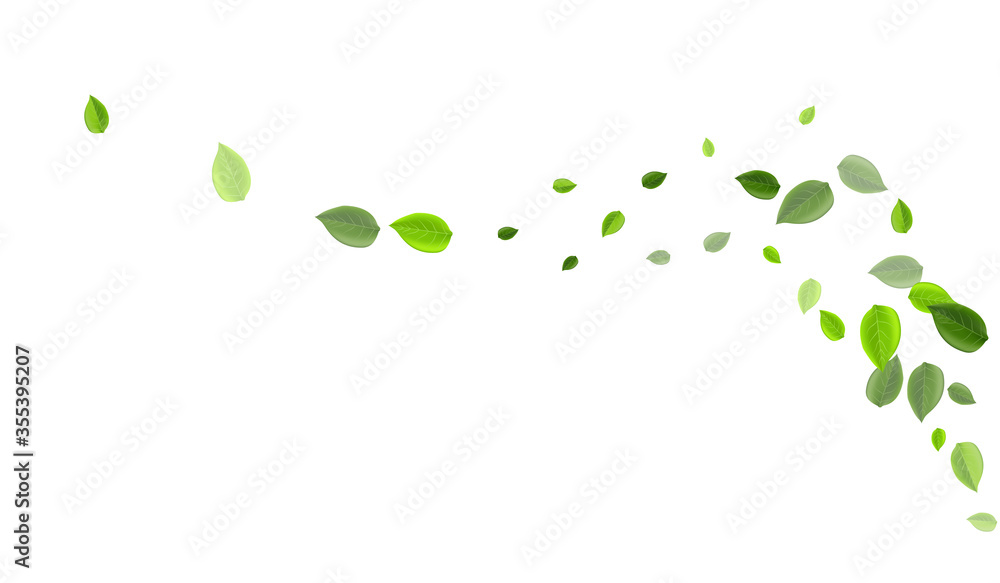 Grassy Leaf Wind Vector Branch. Tea Greens  - obrazy, fototapety, plakaty 