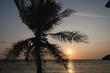 Palmen am Strand bei Sonnenuntergang