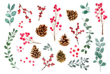 Christmas Ornaments From The Branches Painted With Watercolors On White Background. Branches Of Trees. Sprigs With Red Berries. Fir Cones