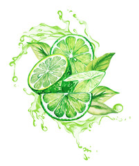 Wall Mural - Limes and leaves in the splash of green juice