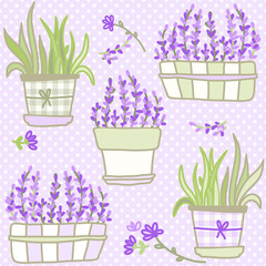 Wall Mural - Seamless pattern from flower pots. Provence style. Vector of lavander flowers.