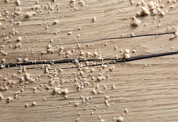 Sticker - Bread crumbs on a wooden table.