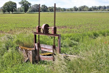 Canvas Print - farmer in field