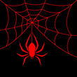 Red Spider and spider web on black background. Vector illustration
