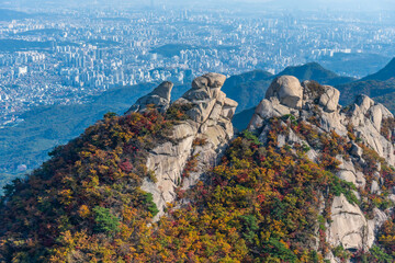 Wall Mural - Peaks of Bukhansan national park near Seoul, Republic of Korea