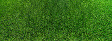 Wide Directly Above Shot Of Fresh Green Grass Or Lawn, Lush Grass Background