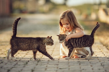 A little barefooted girl in a gray linen dress is stroking a cat. Sunny summer evening in the village. Countryside background. Image with selective focus, toning and noise effects. Two cats and a girl