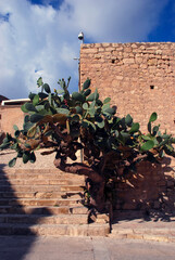 Wall Mural - The Santa Barbara Castle overlooking Alicante, Spain