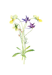 Wall Mural - Watercolor bouquet of wild blue flowers and violets.