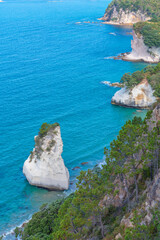 Te Hoho rock at Coromandel peninsula in New Zealand