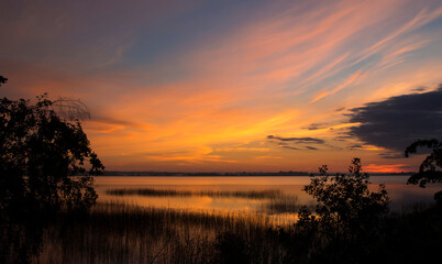 Wall Mural - Summer lake at dawn, nature background.