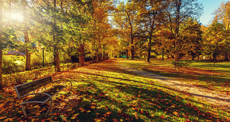 Fototapete - Bench in autumn park. Amazing nature landscape. Autumn landscape beautiful colored trees in the park, glowing in sunlight. wonderful picturesque background. color in nature. gorgeous view.