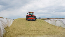 A Red Tractor On A Partially Filled Silage Clamp At A Dairy Farm, Compacting The Freshly Chopped Maize With A Heavy Silage Roller, Fermented The Stored Maize Will Be Used As Cow Feed In Winter